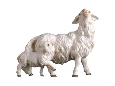 Ul. Schaf mit Lamm hinten color